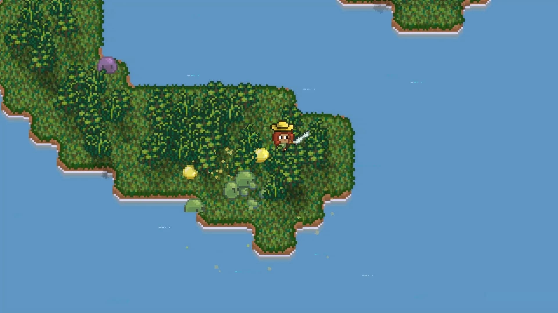 Island Berry görsel 10