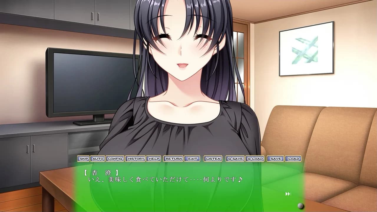 Hitozuma Netori Kannrinin görsel 2