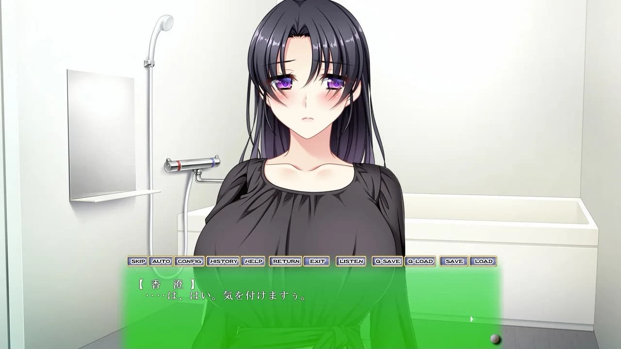 Hitozuma Netori Kannrinin görsel 3