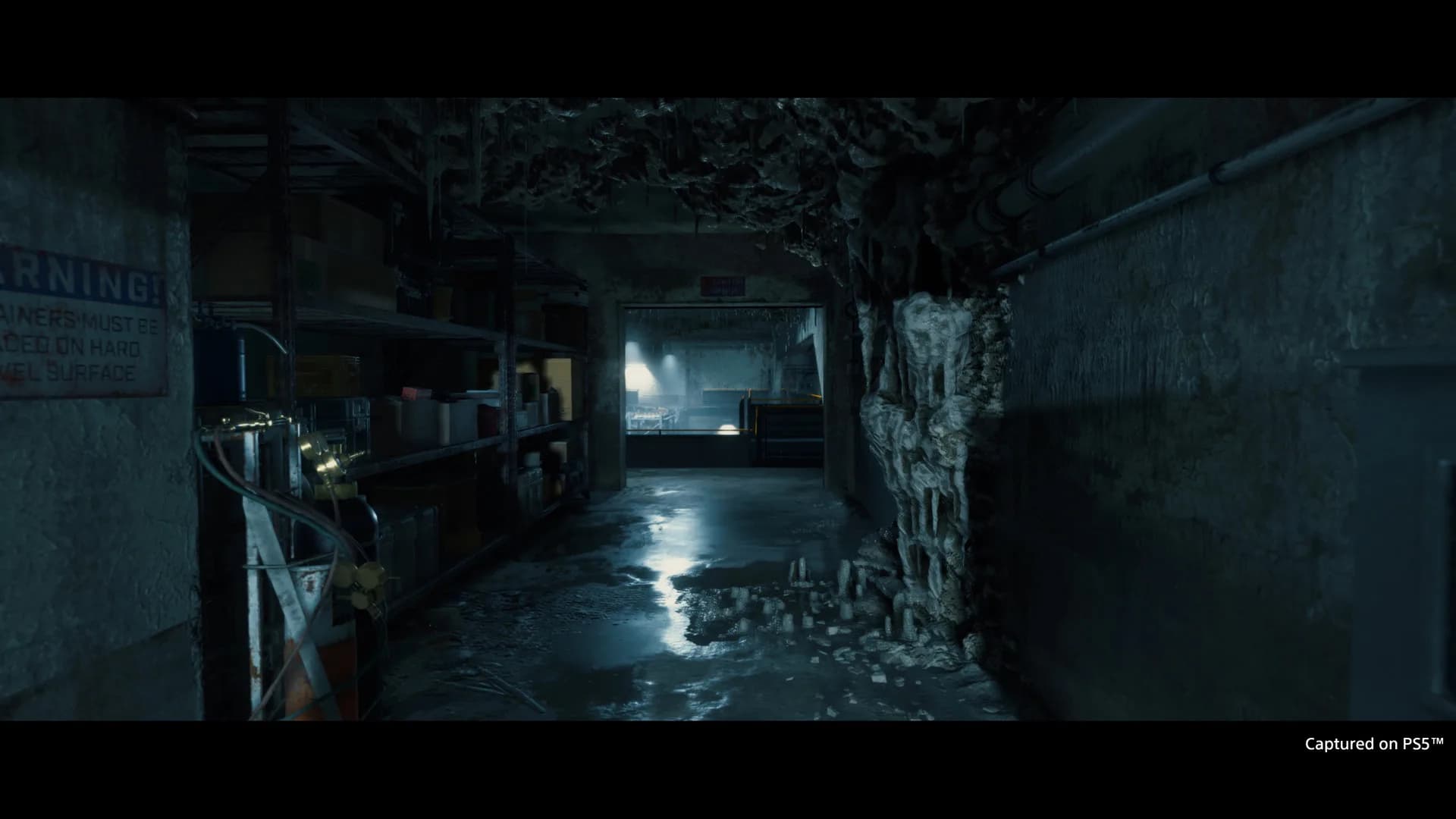 DEATH STRANDING DIRECTOR'S CUT görsel 18