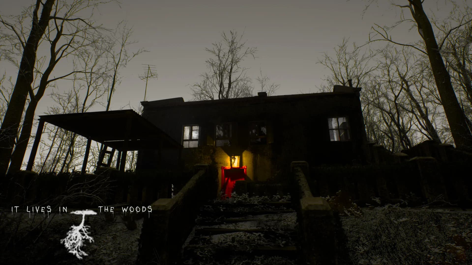 ItLivesInTheWoods görsel 4