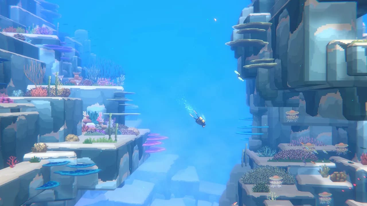 DAVE THE DIVER görsel 2