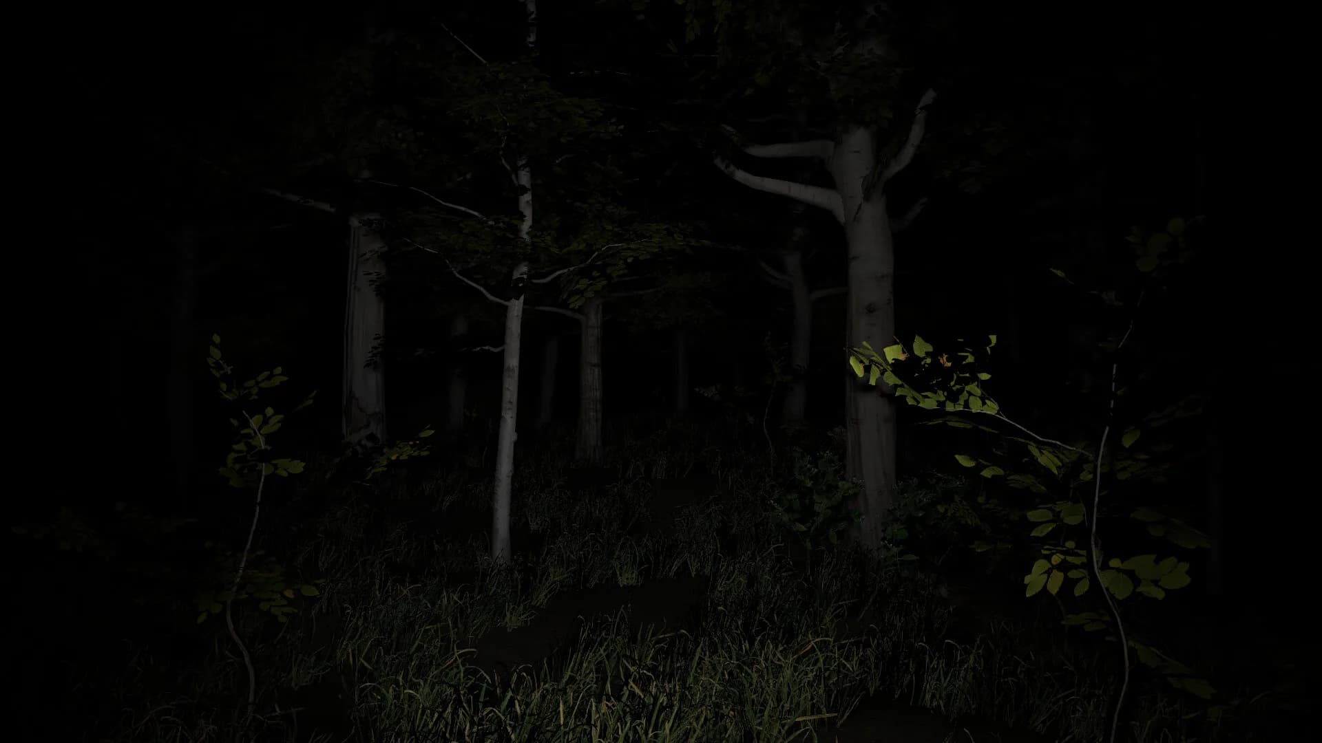 Blinding Oversight görsel 7
