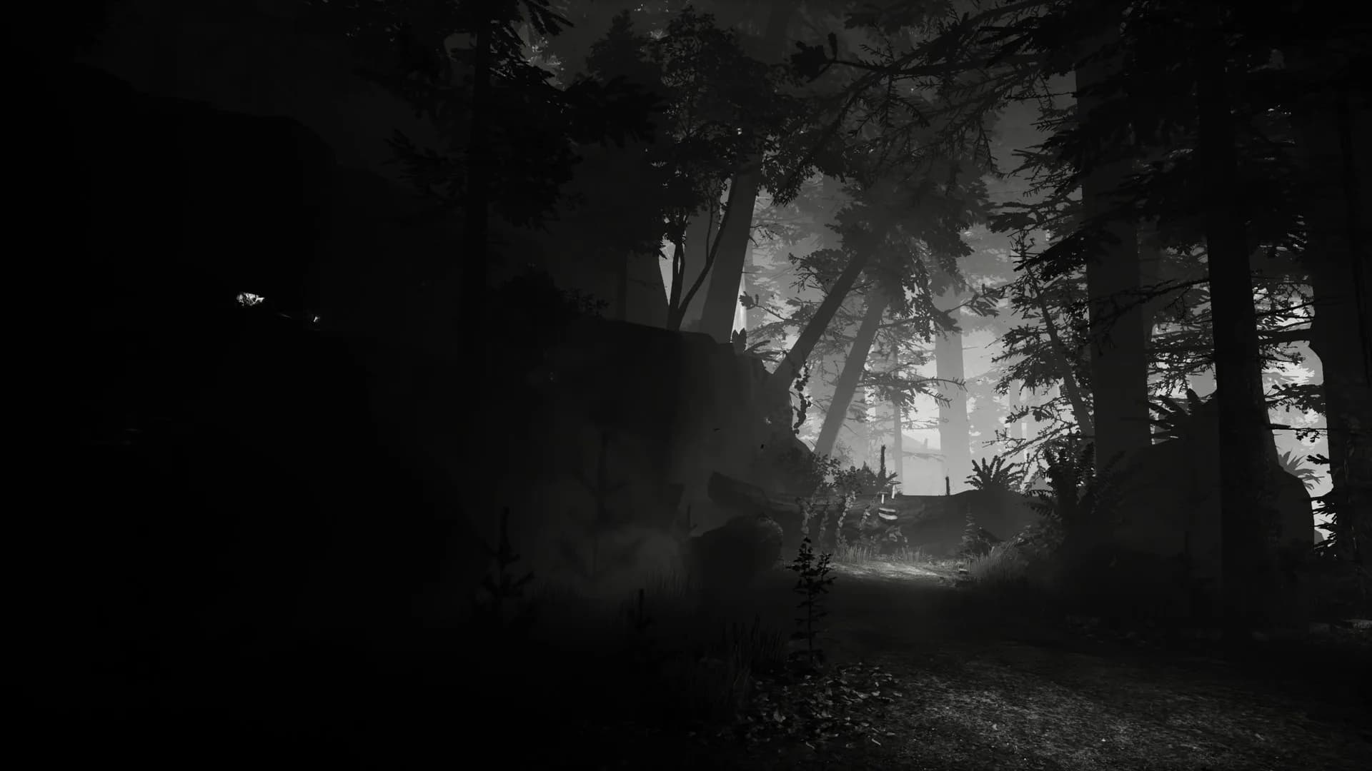 LOST BETWEEN görsel 2