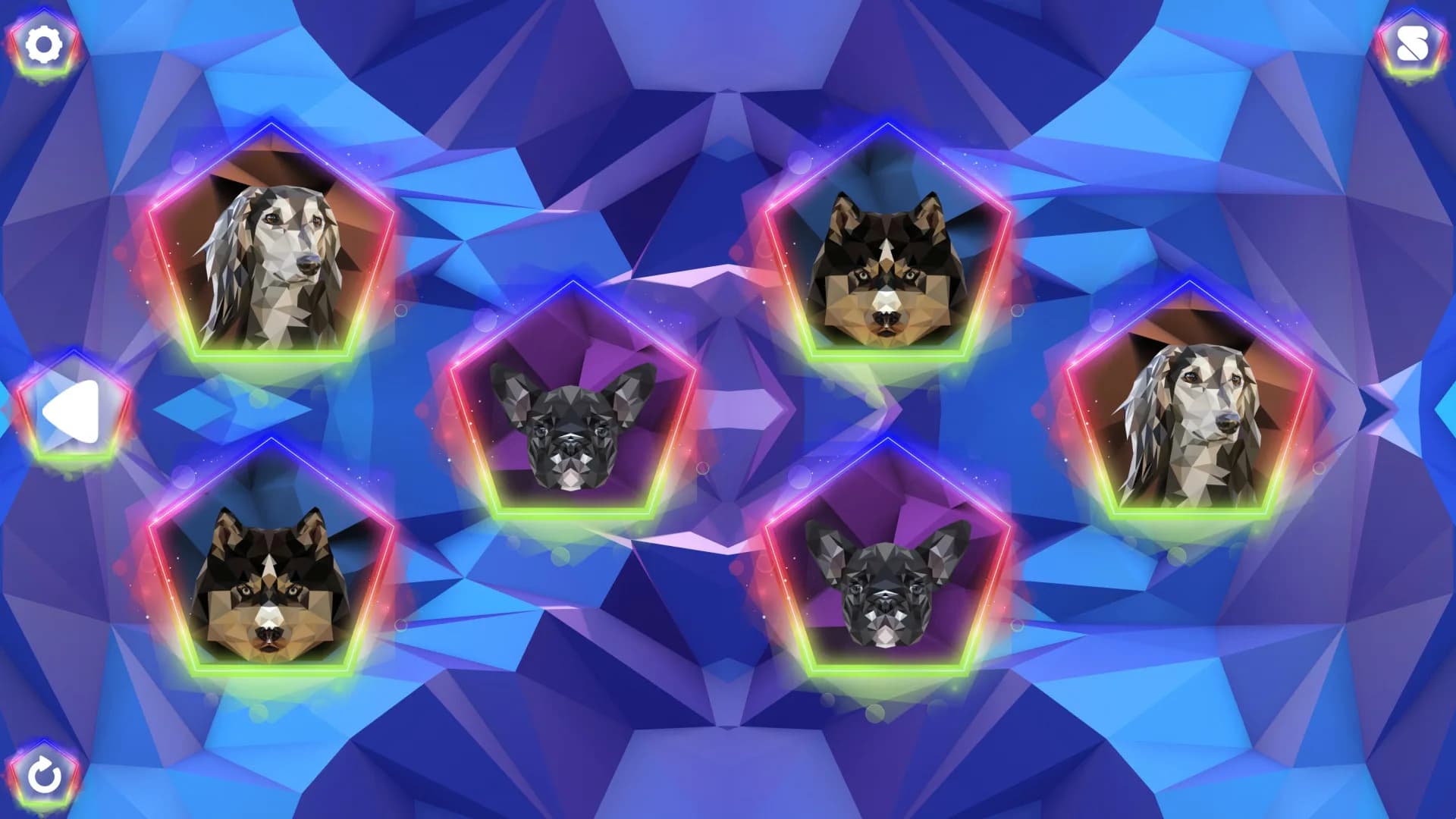 Poly Memory: Dogs görsel 2