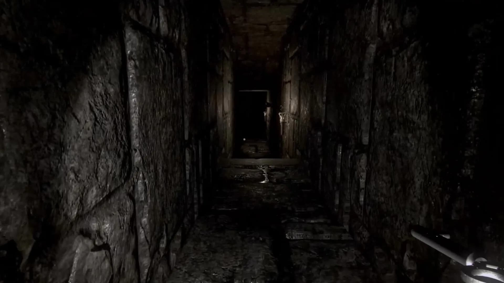 Paramnesia: Escape Together görsel 4