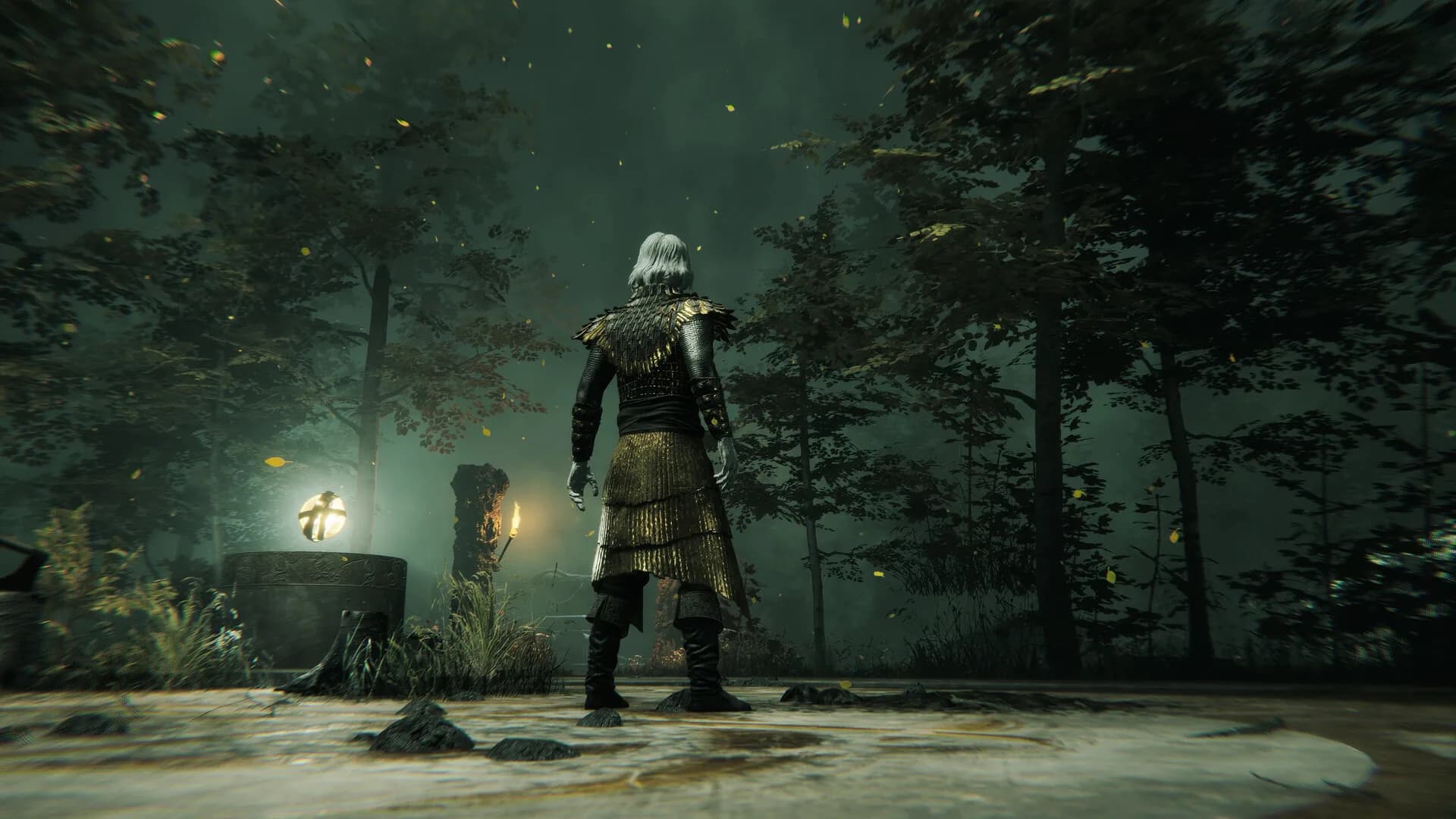 The Inquisitor görsel 5