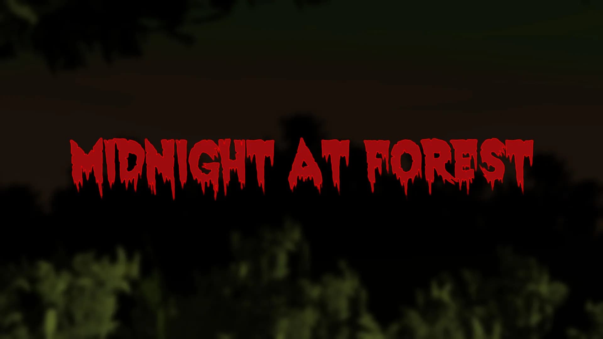 Midnight at Forest görsel 2