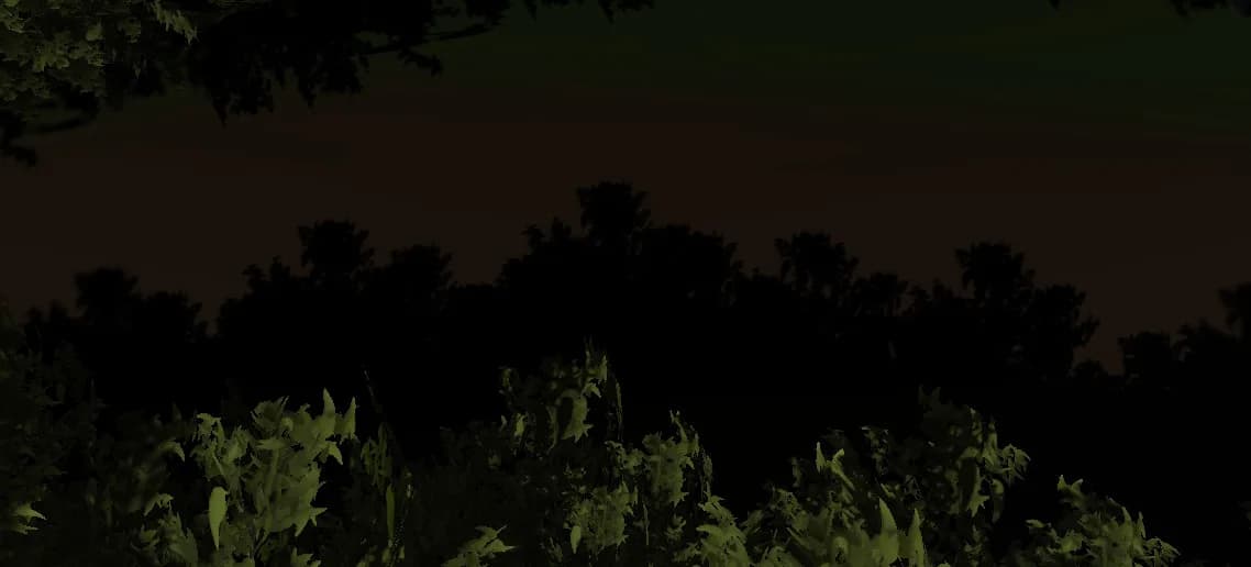 Midnight at Forest görsel 5