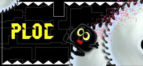 Ploc görsel 1