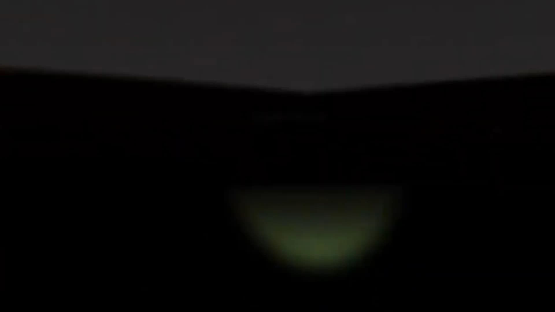 The Creature Zone VR görsel 3