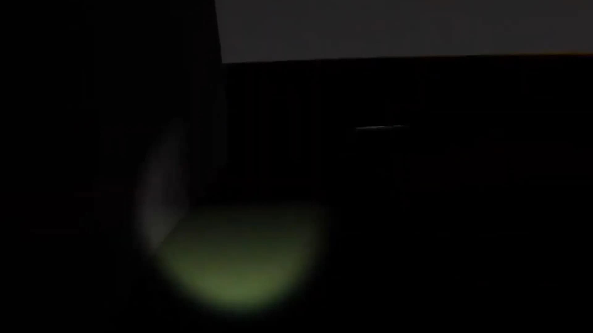 The Creature Zone VR görsel 5