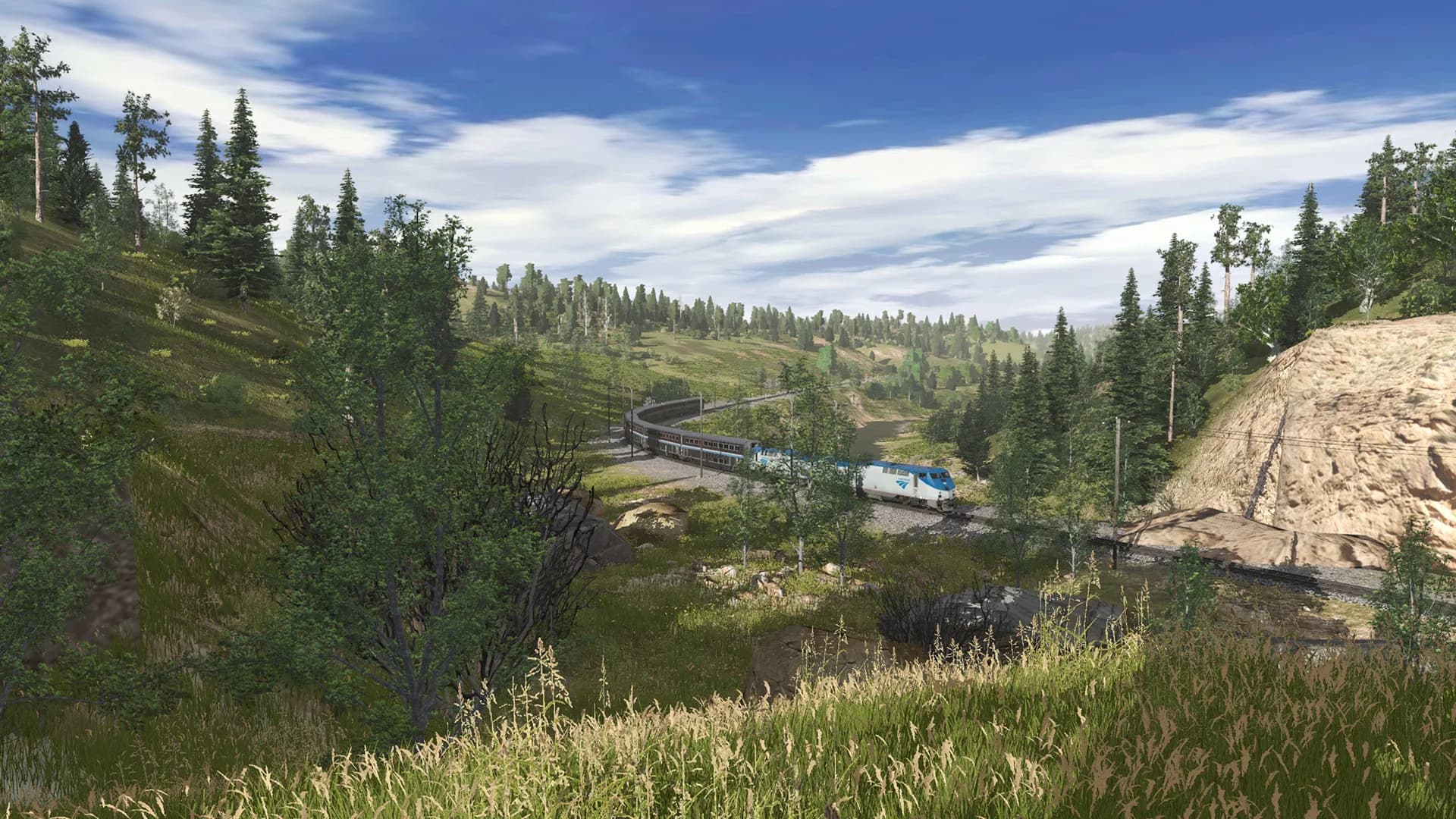 Trainz Plus görsel 13