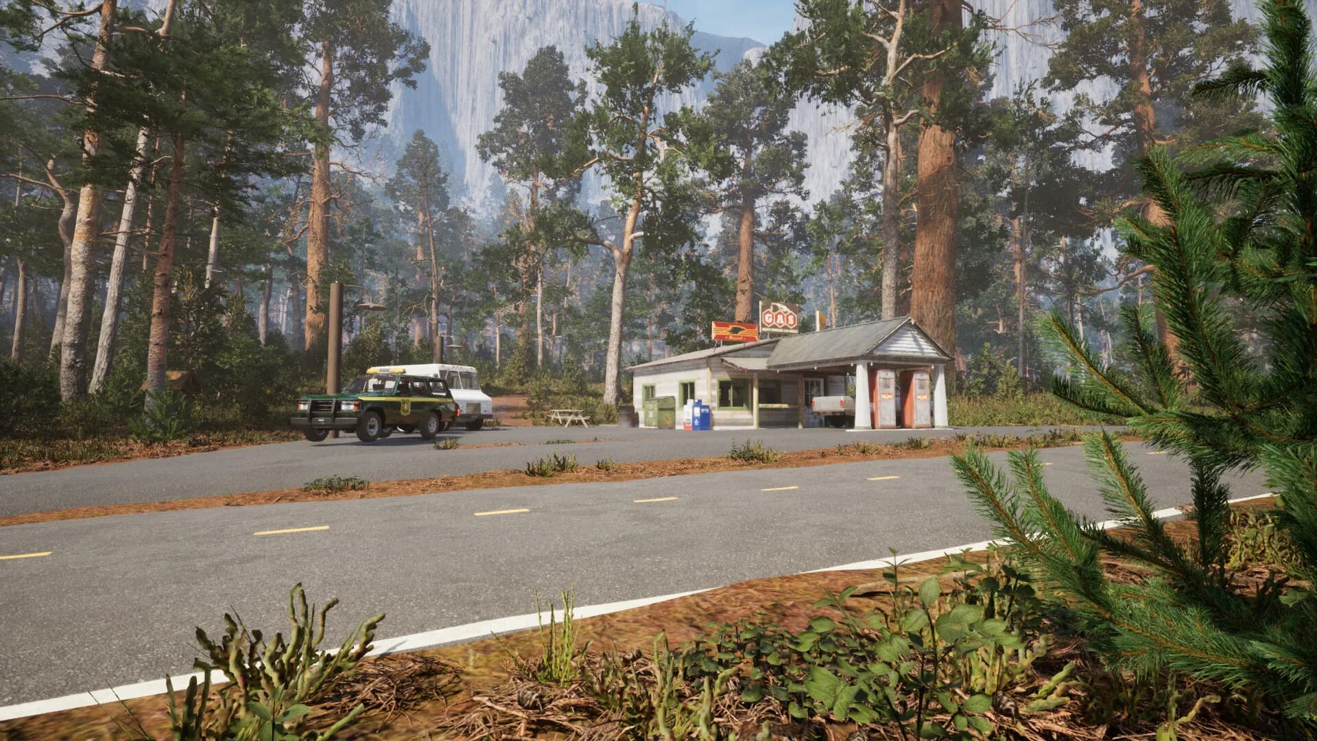 Yosemite Forest Ranger görsel 8