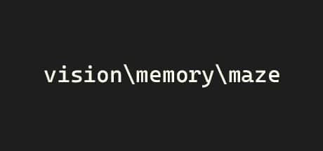 vision\memory\maze görsel 1