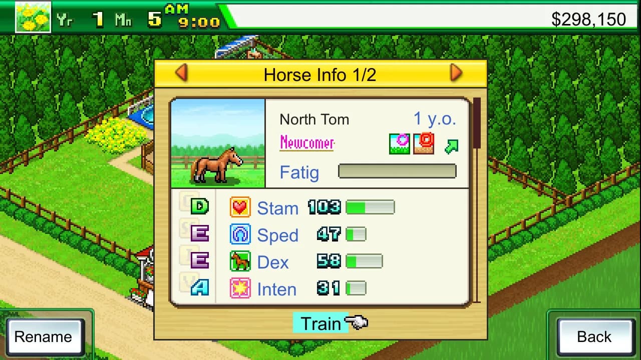 Pocket Stables görsel 3