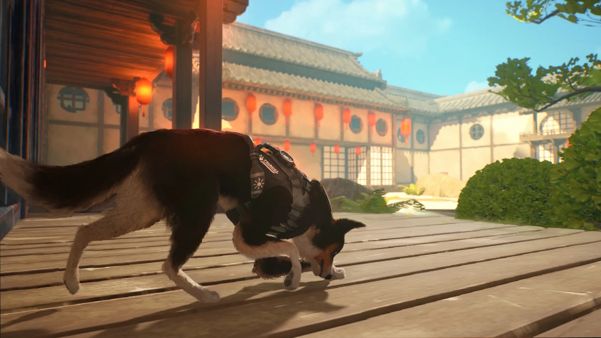 Barkour görsel 3