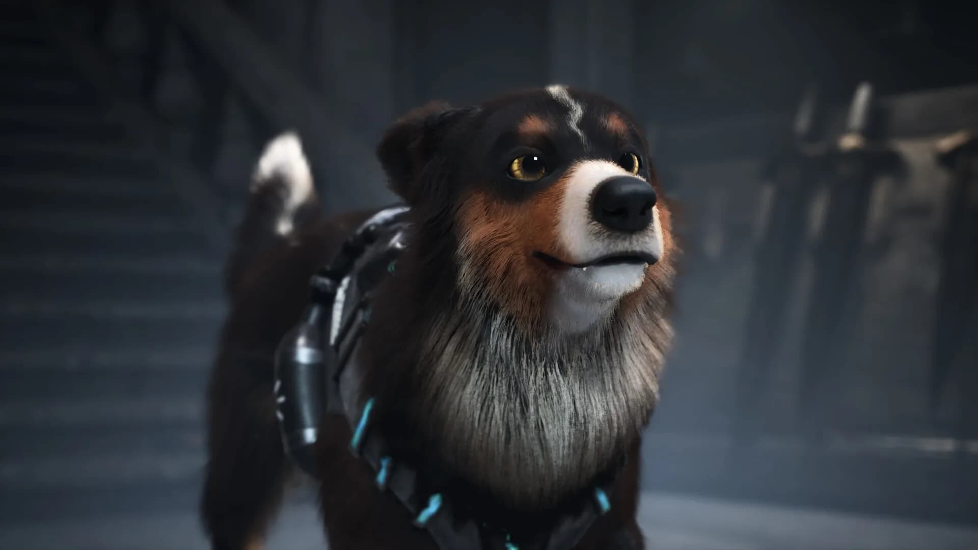 Barkour görsel 5