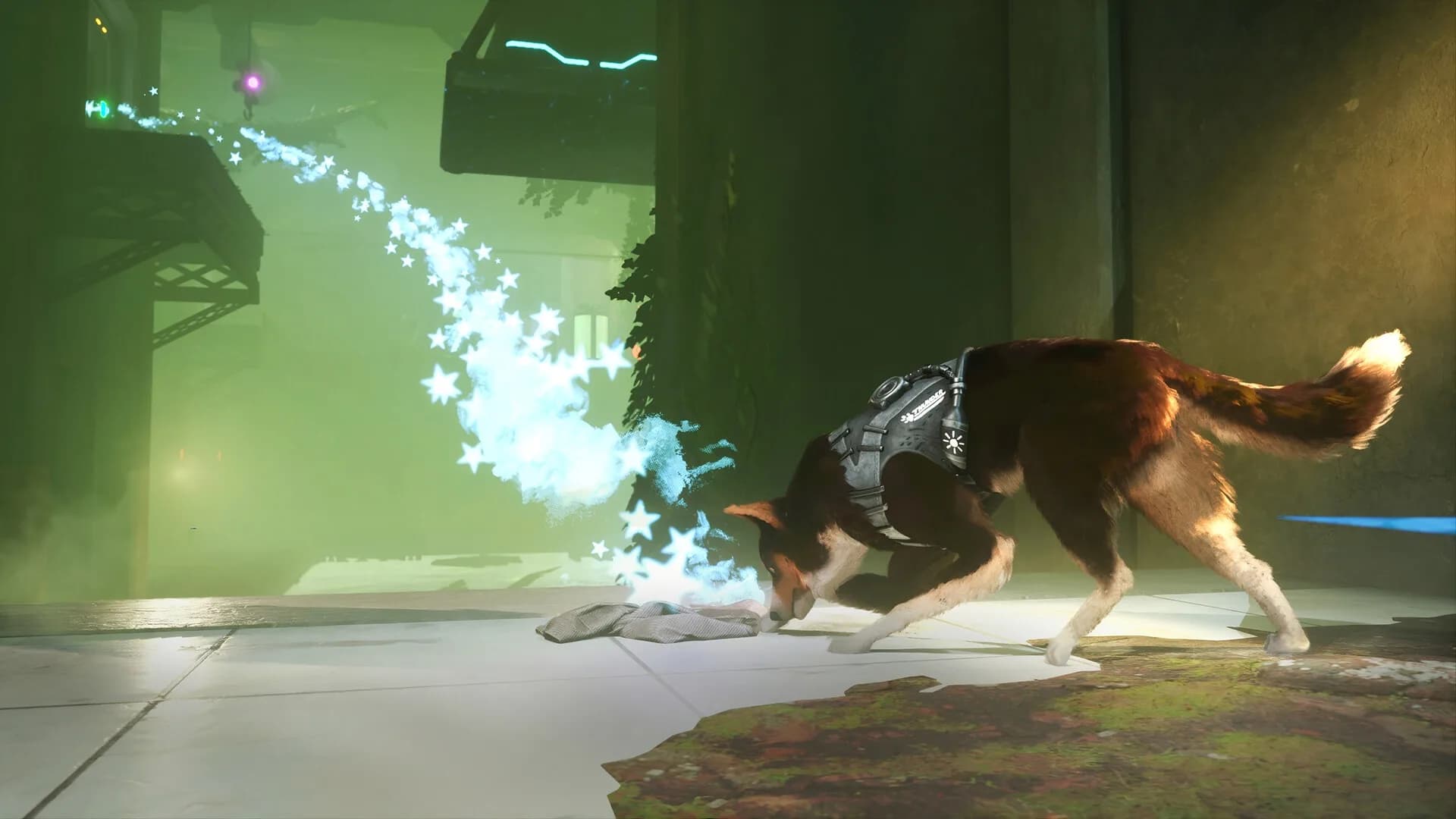 Barkour görsel 10
