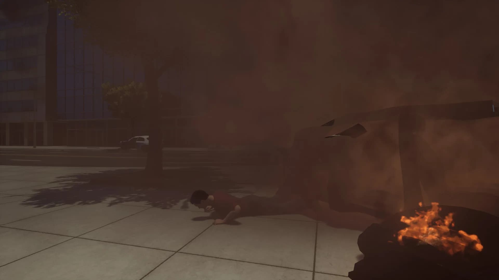 CRASH TEST IDIOT görsel 3