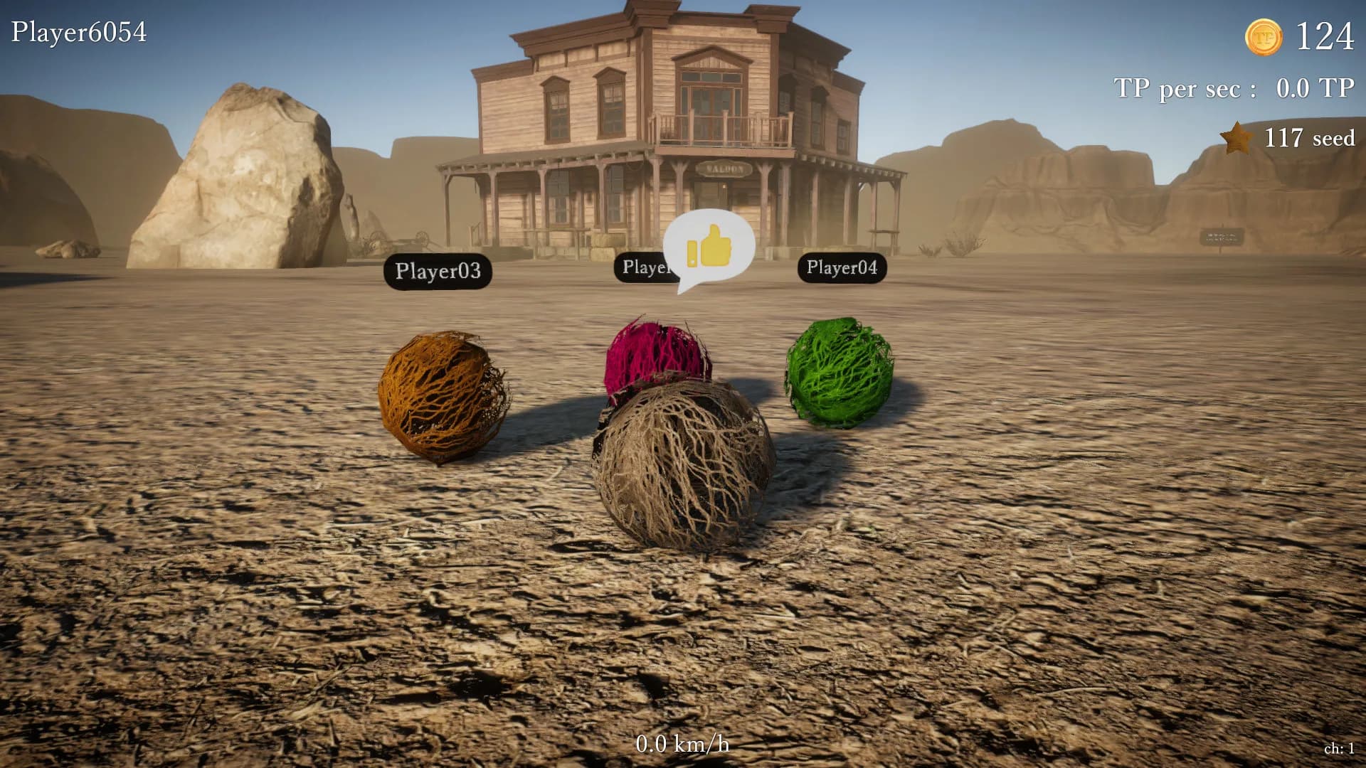 Tumbleweed Destiny görsel 2