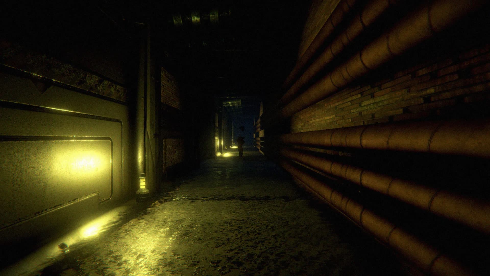 Backrooms: Levels of Fear görsel 9