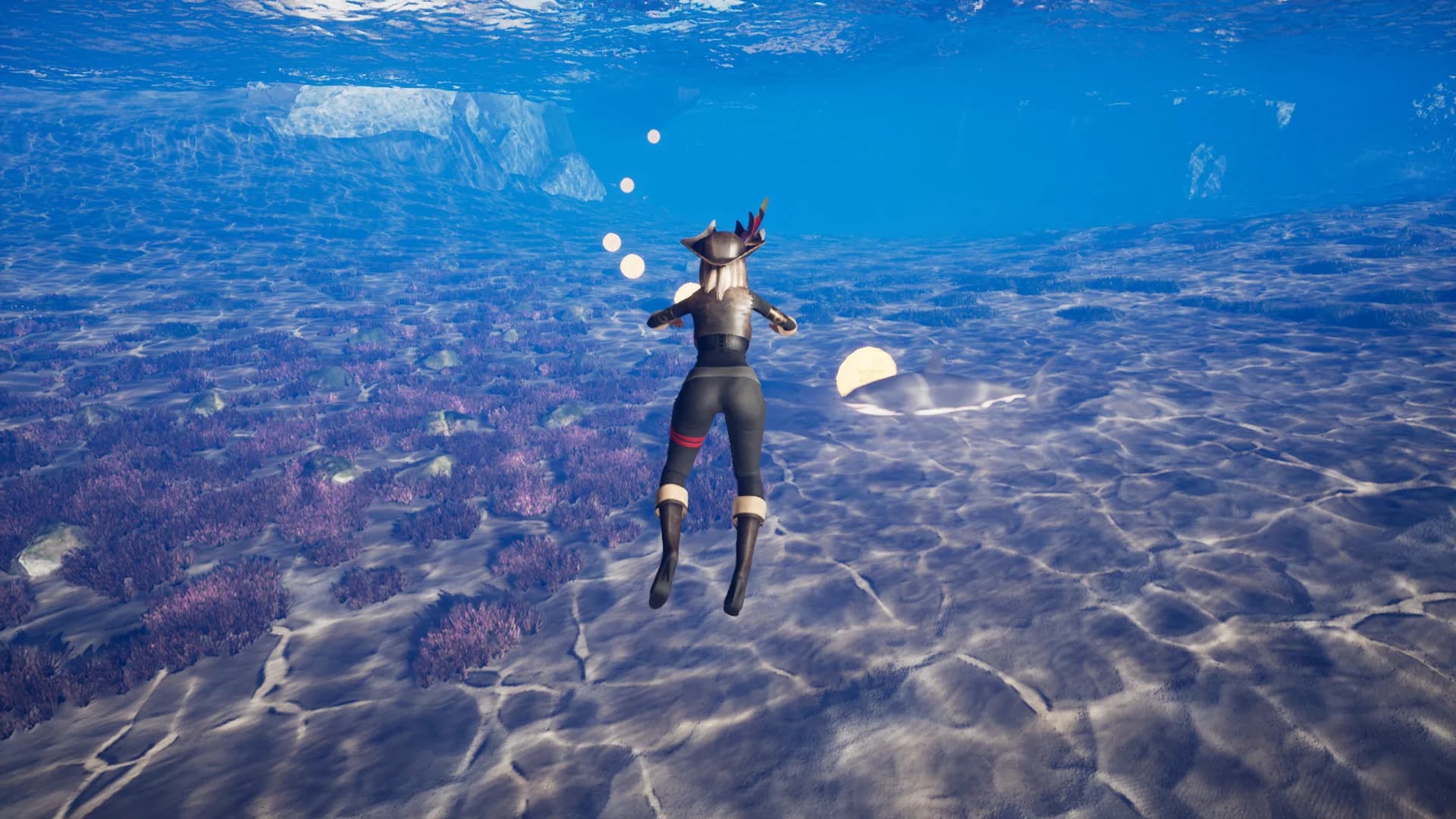 Epic Pirate görsel 9