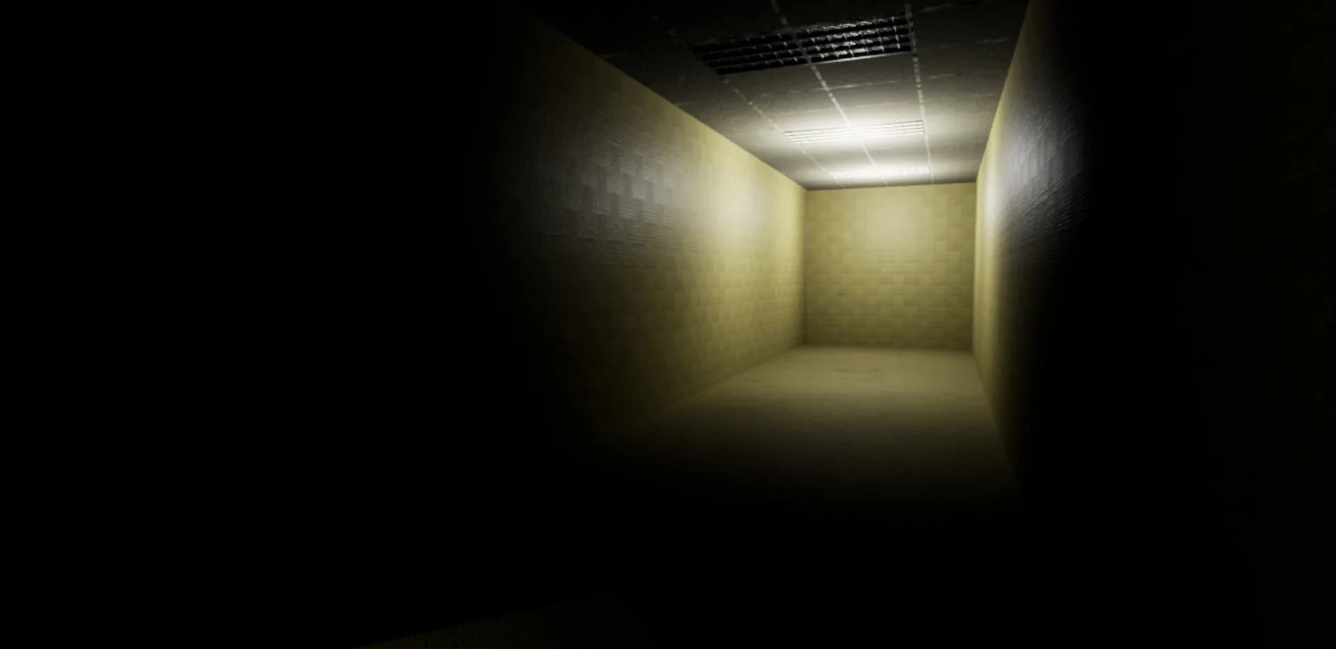 Welcome To The Backrooms görsel 3