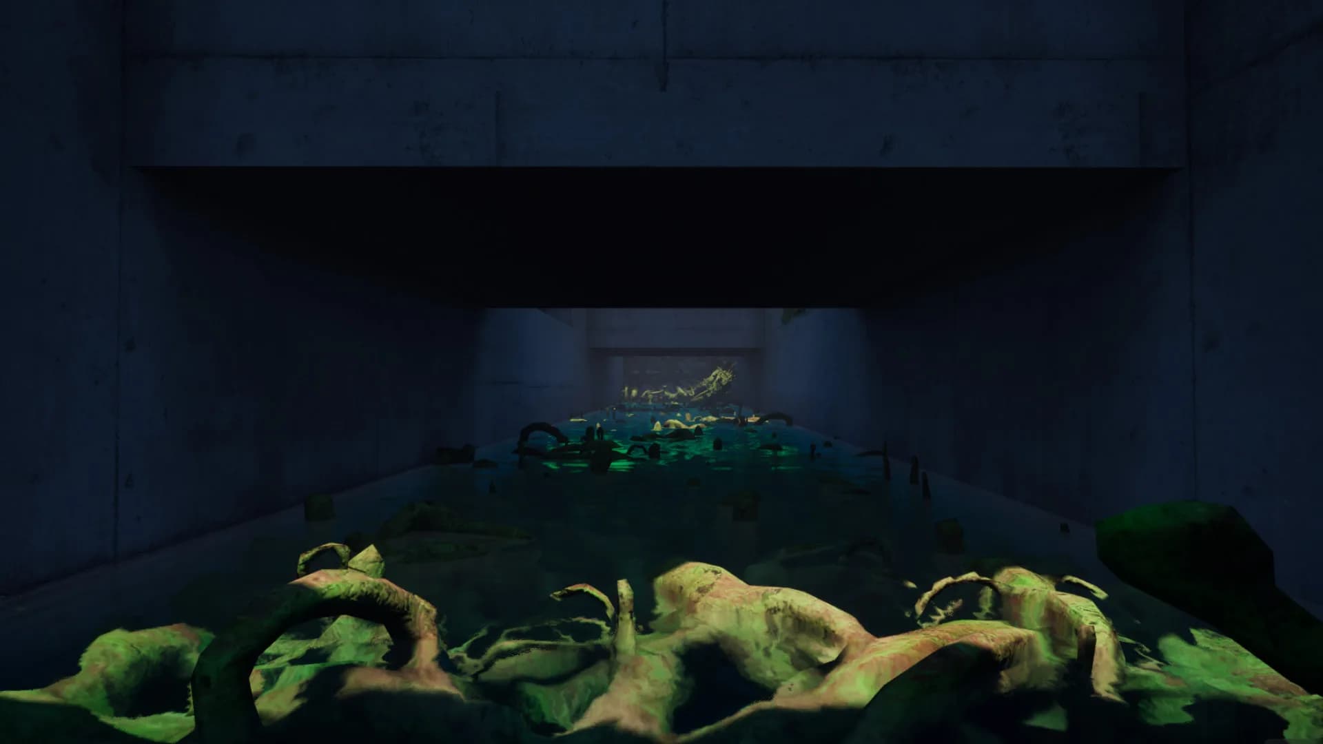 Santo Island Incident görsel 14
