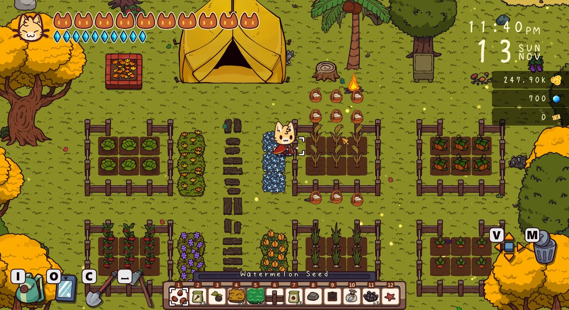《Travel cat : Adventure Island》旅行貓貓~探險之島 görsel 2