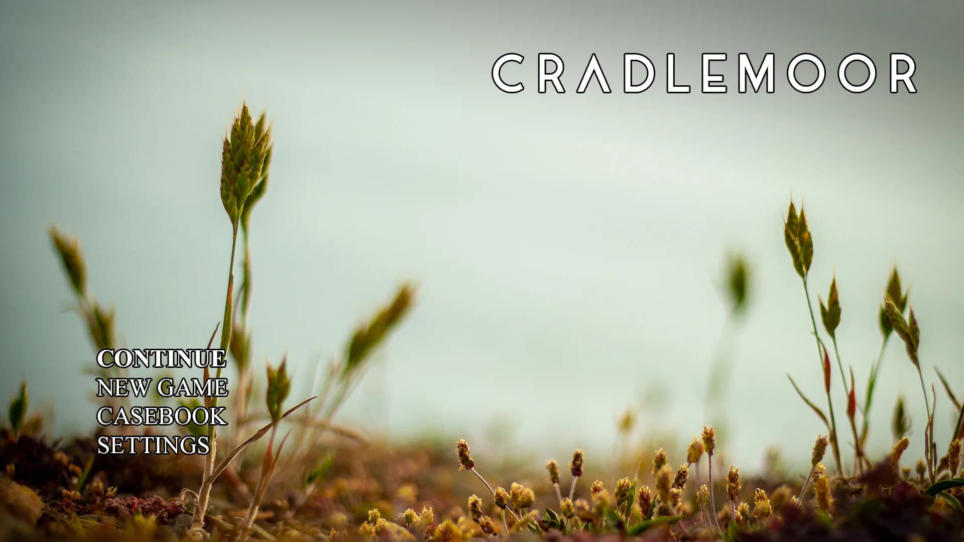 Cradlemoor görsel 10