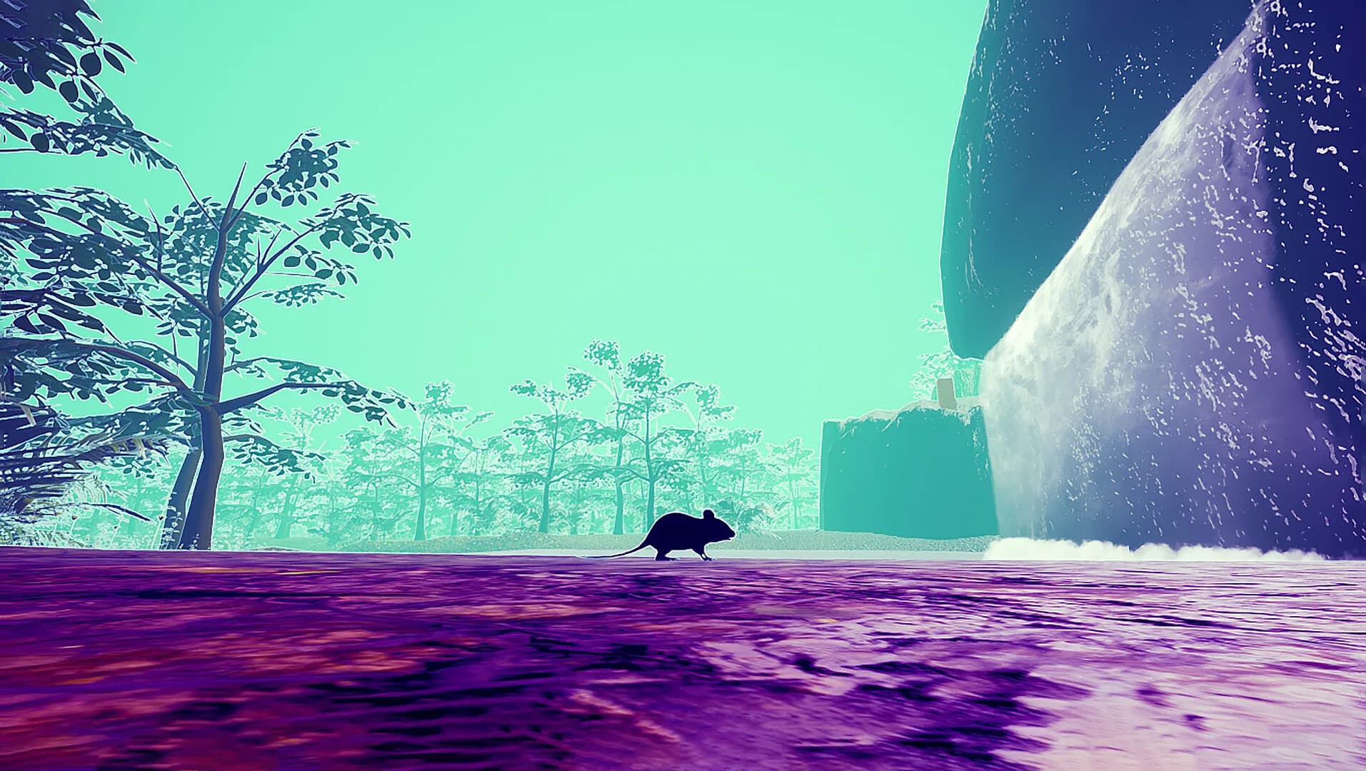 RAT MEMORY görsel 3