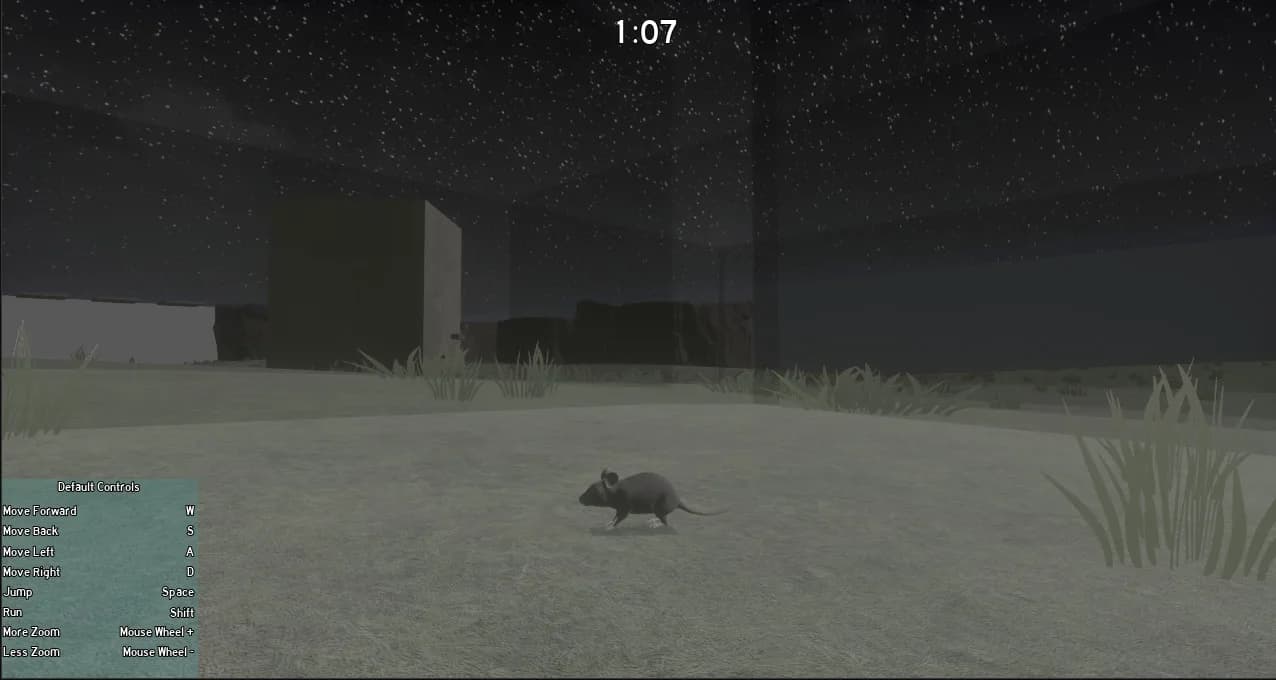 RAT MEMORY görsel 6