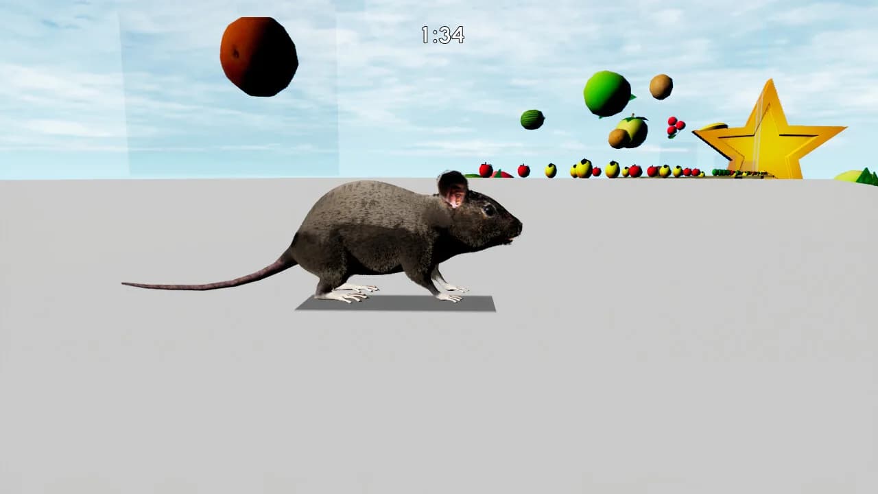 RAT MEMORY görsel 7