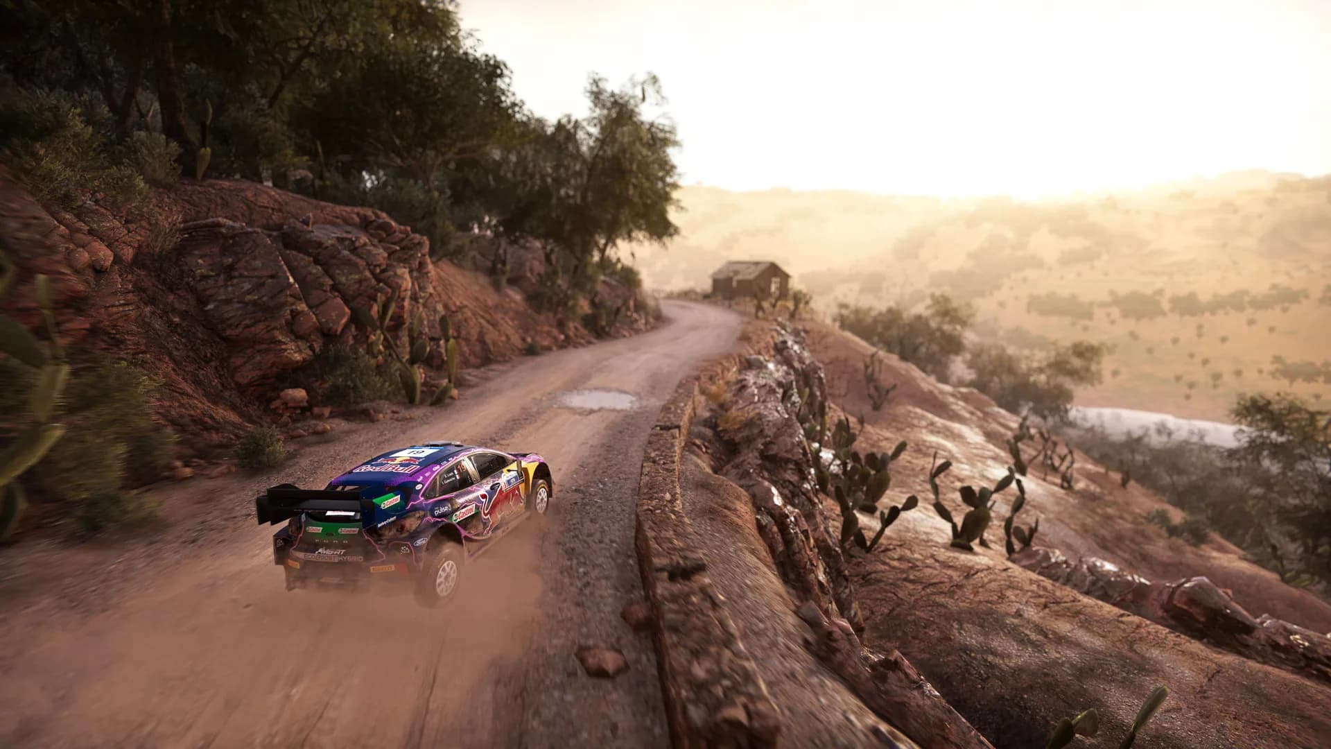 WRC Generations – The FIA WRC Official Game görsel 2