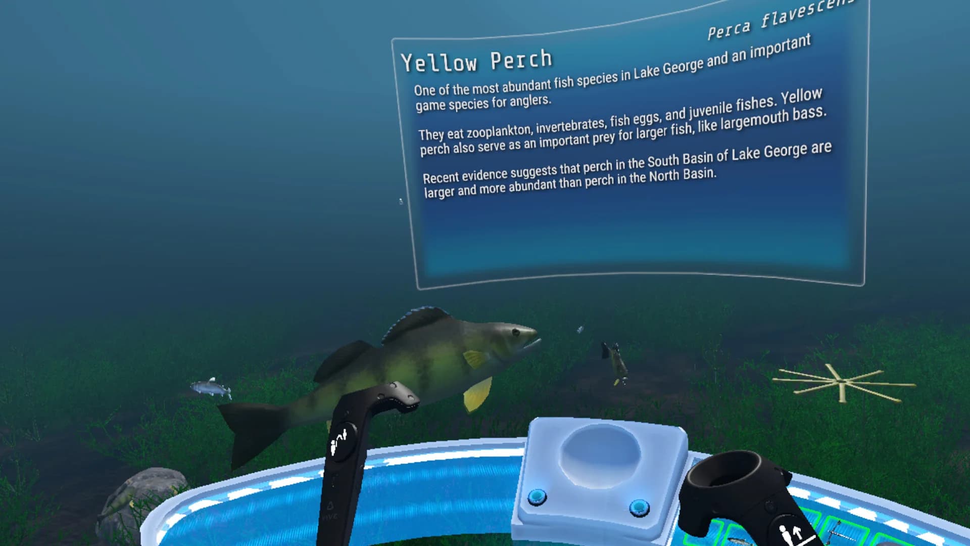 The Aquatic Messenger görsel 9