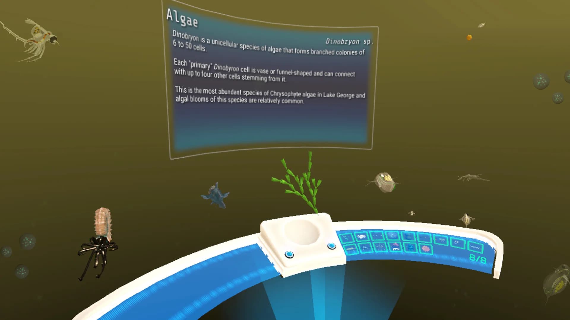 The Aquatic Messenger görsel 10