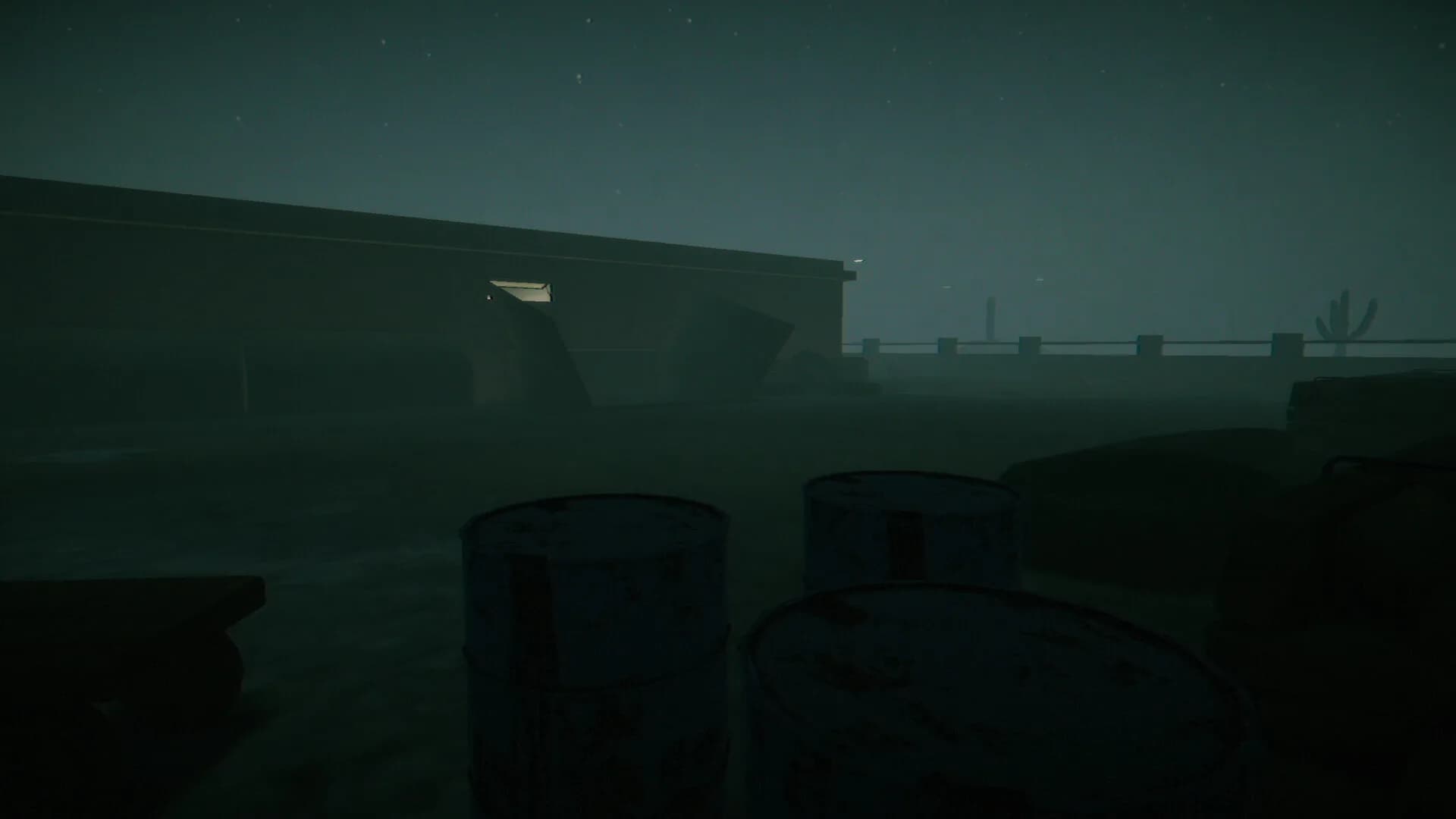 SILENT SCREAM görsel 14