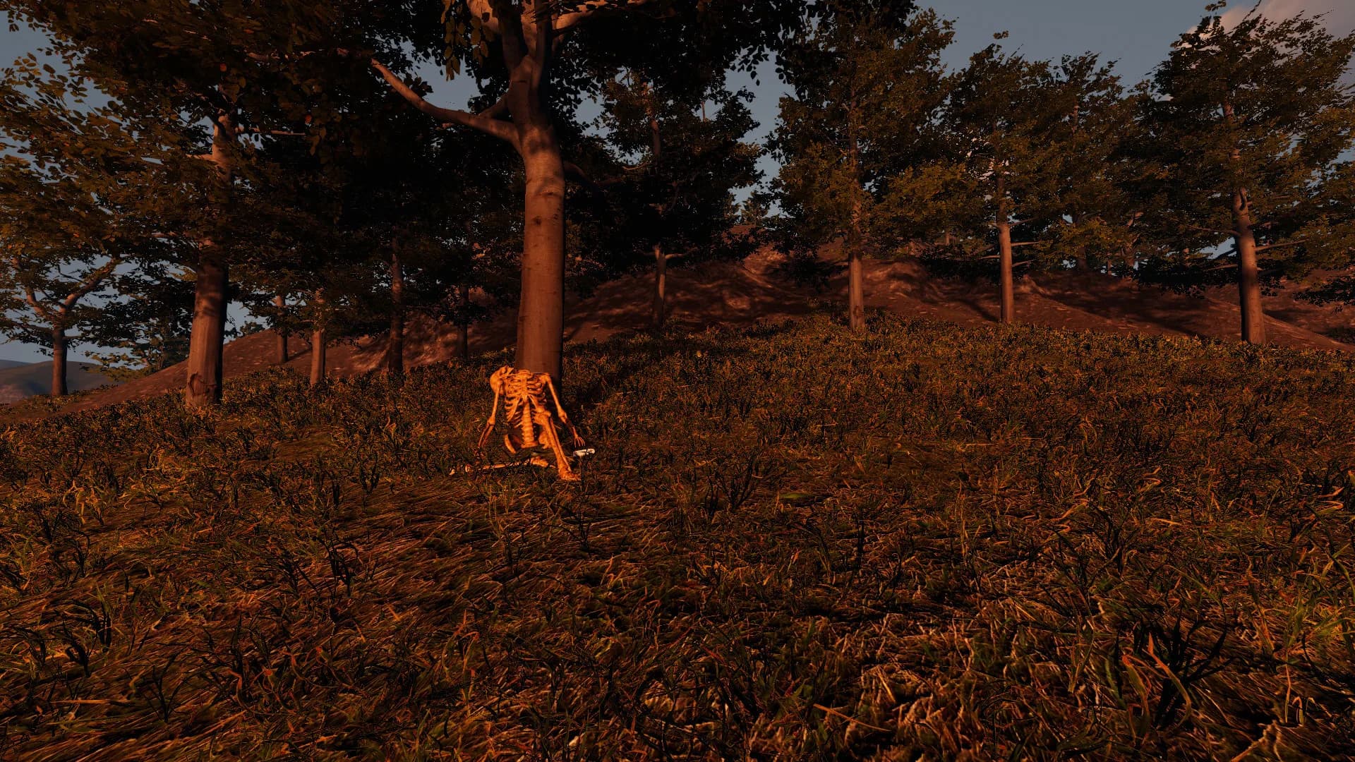 Forlorn görsel 3
