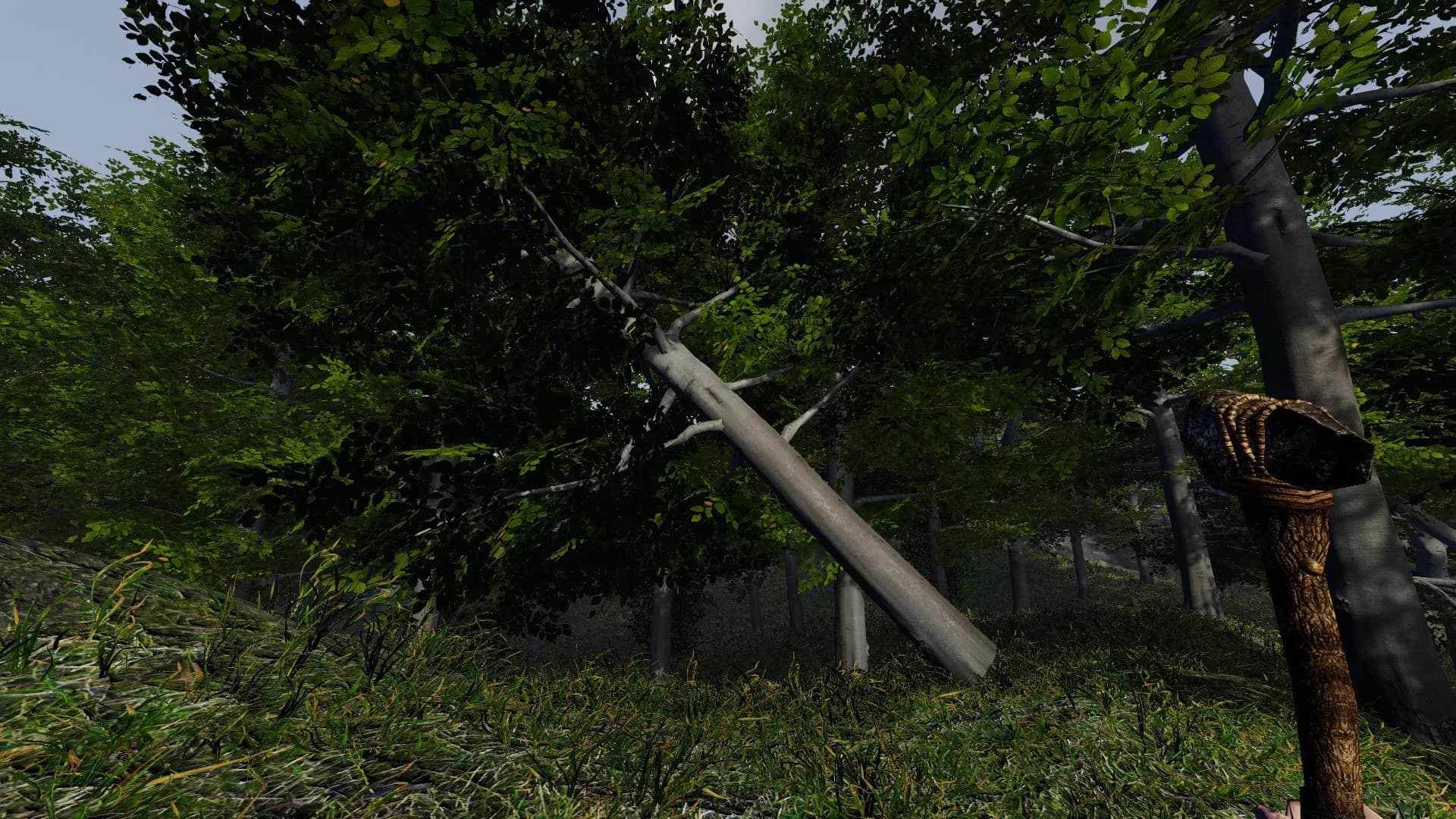 Forlorn görsel 5