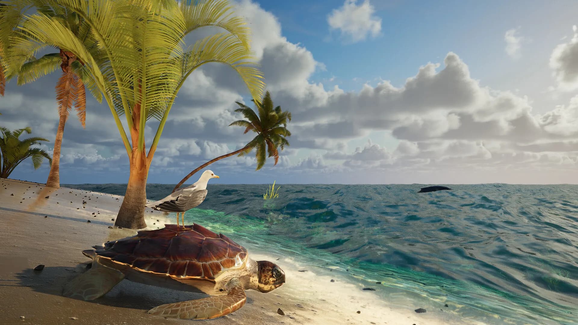 Eden Island görsel 6