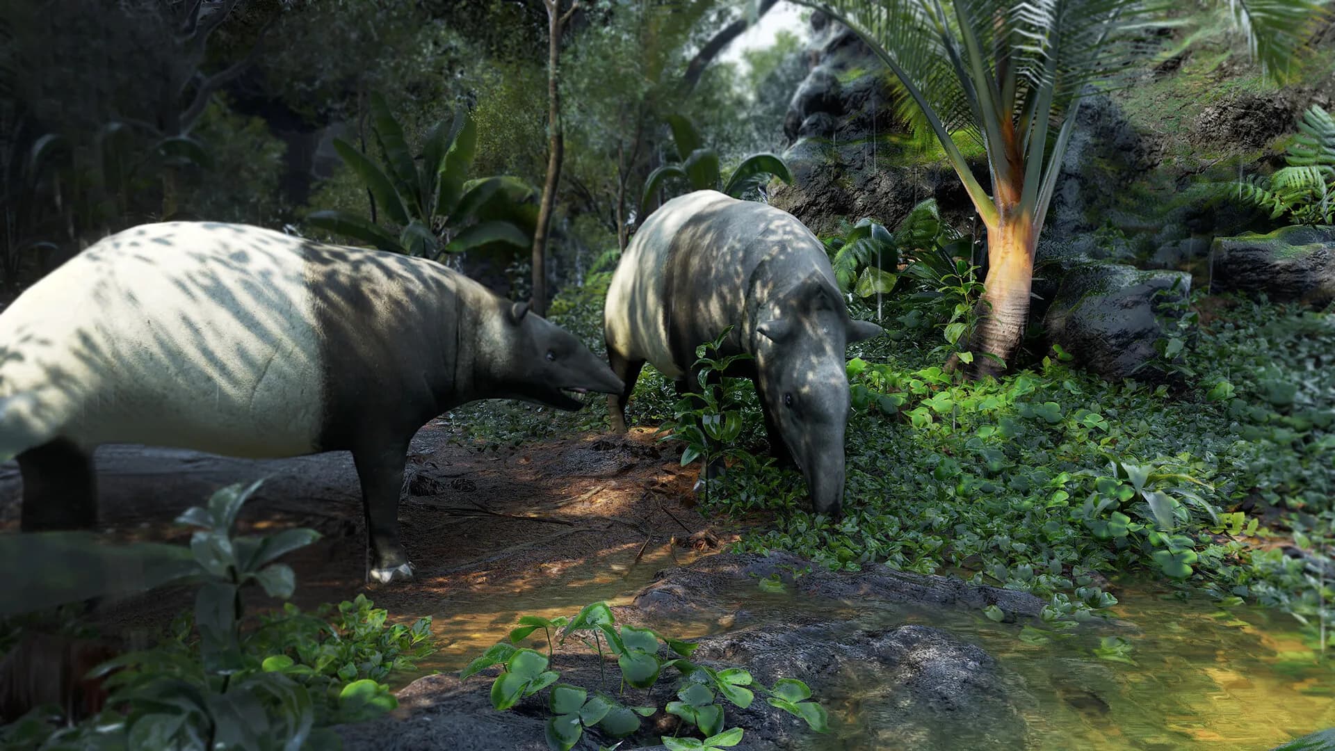 Eden Island görsel 57