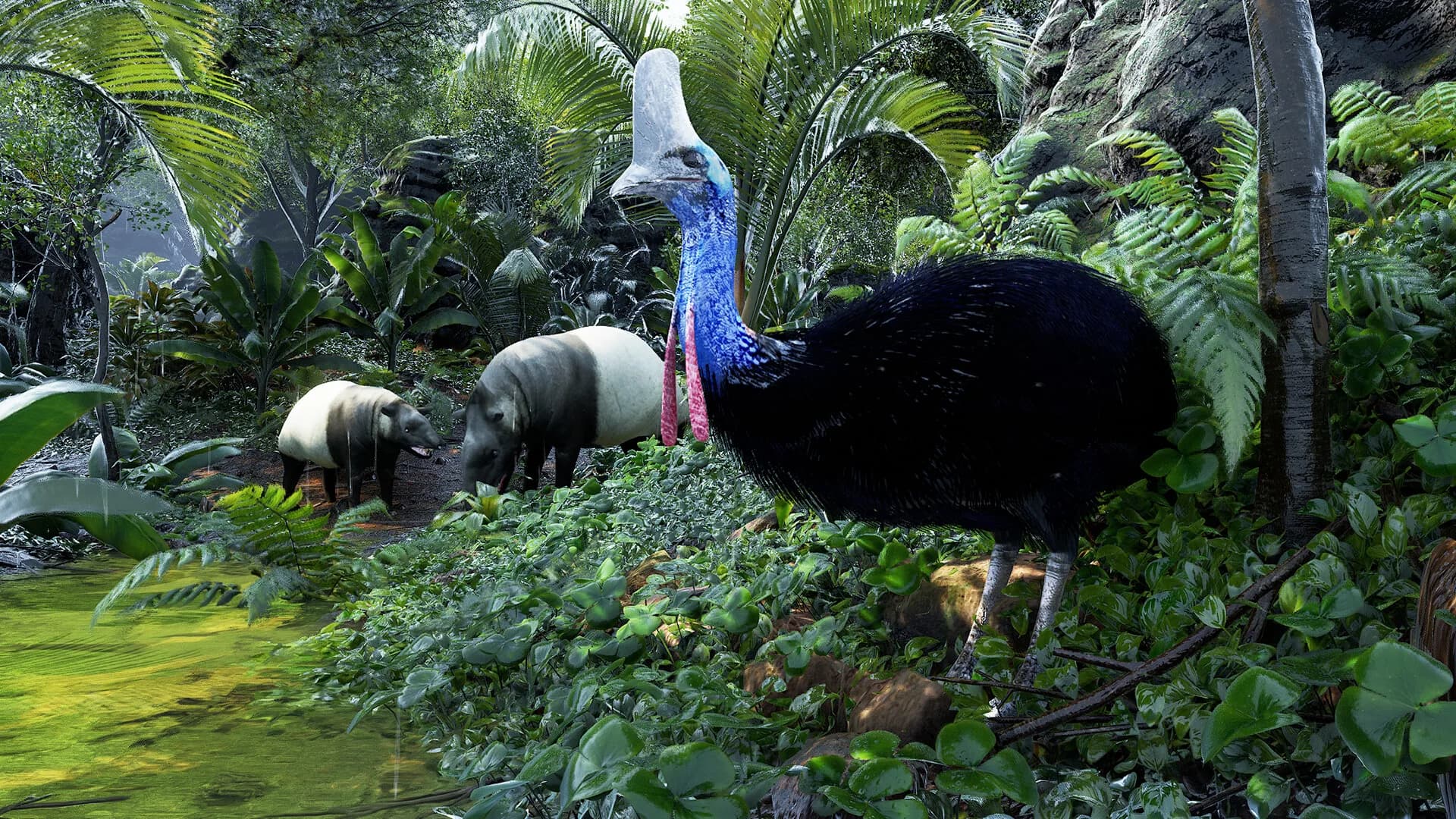 Eden Island görsel 58