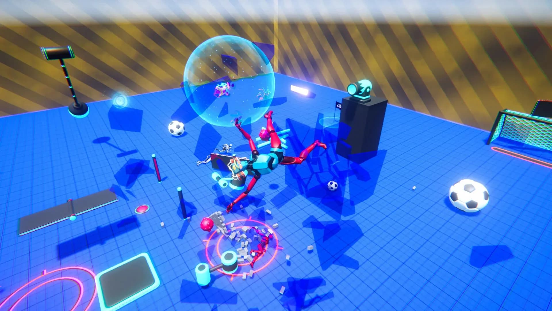 Ragdoll LABS görsel 2