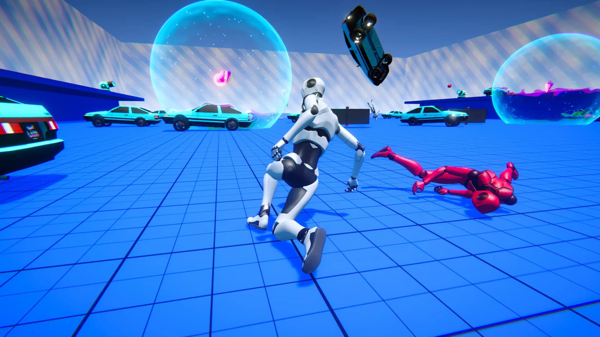 Ragdoll LABS görsel 4