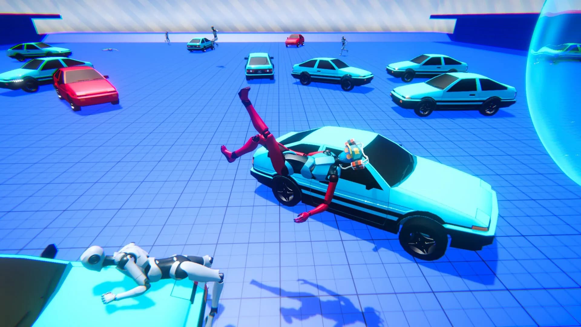 Ragdoll LABS görsel 8