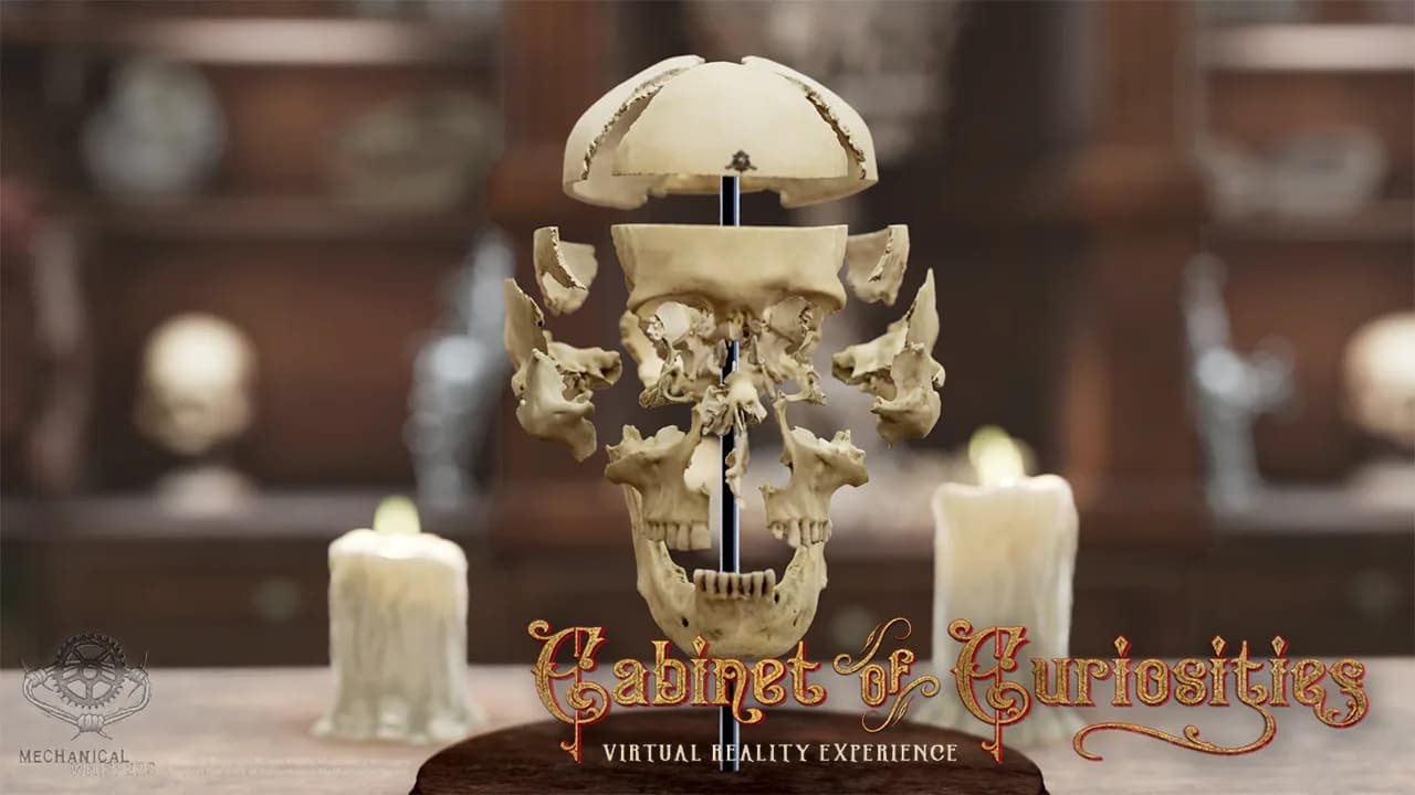 Cabinet of Curiosities VR görsel 5
