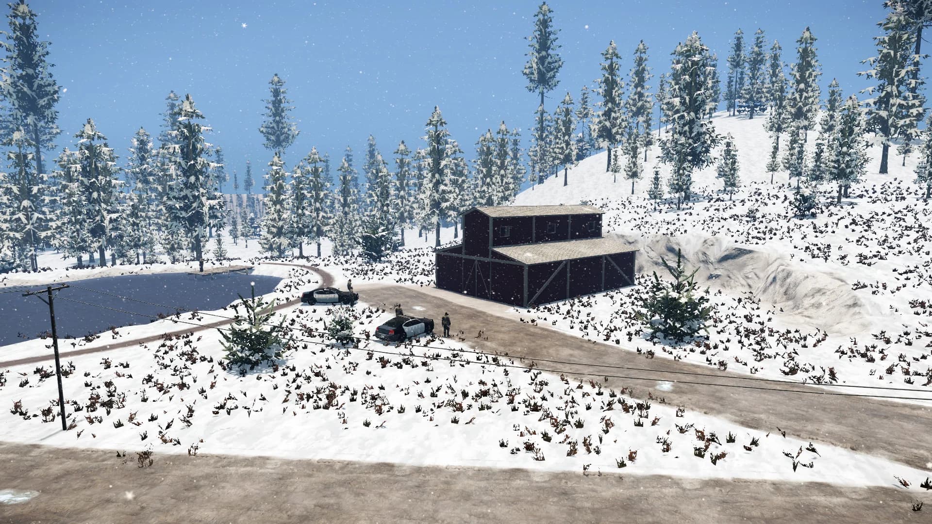 The Killer görsel 12