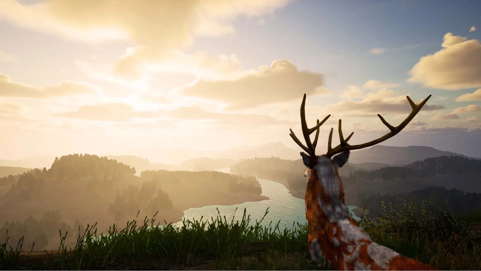 Deer Journey görsel 7