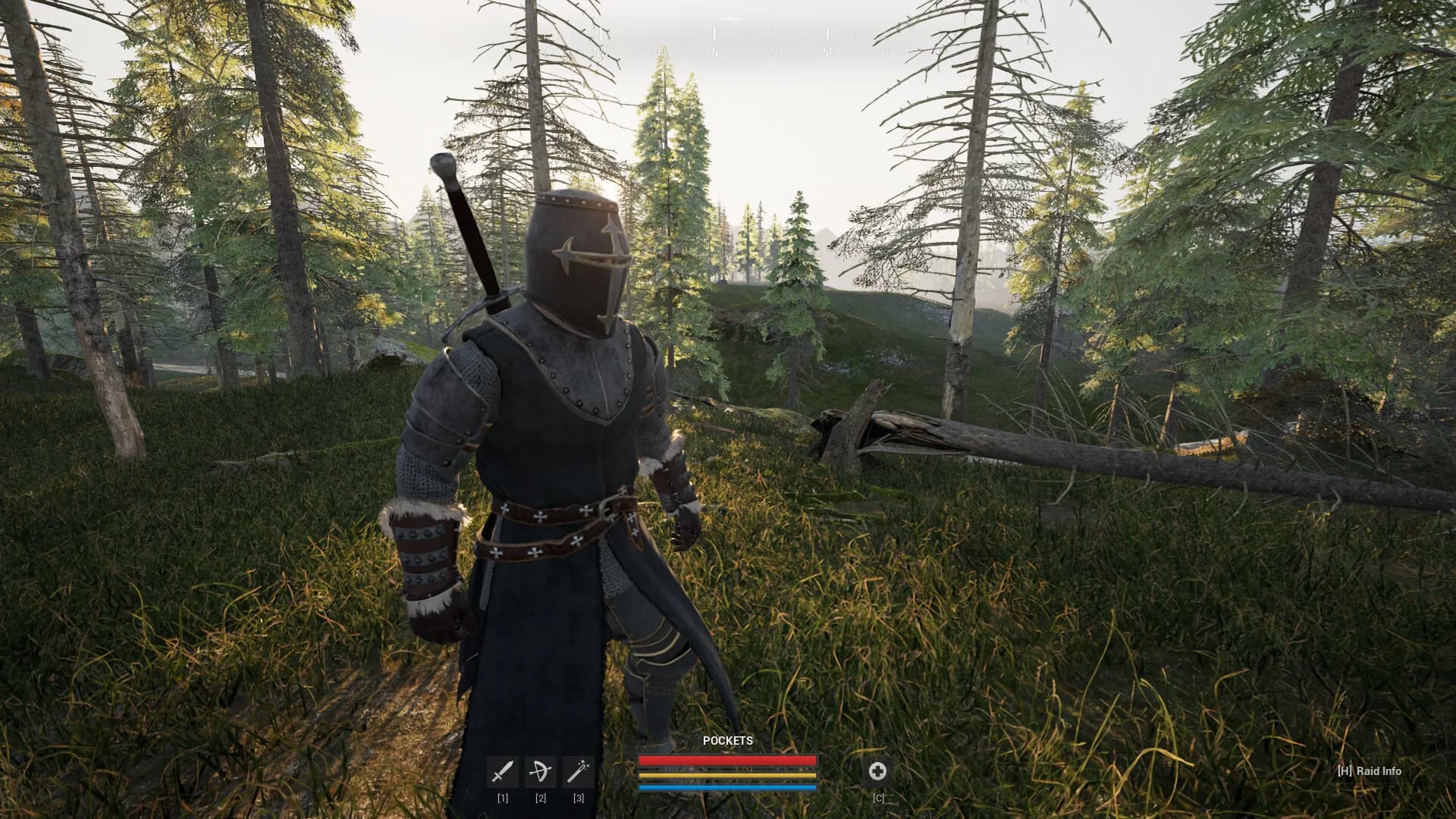 RAIDER: Dark Age görsel 3